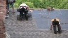 roofing 7